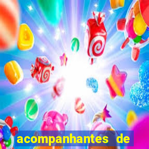 acompanhantes de luxo sc